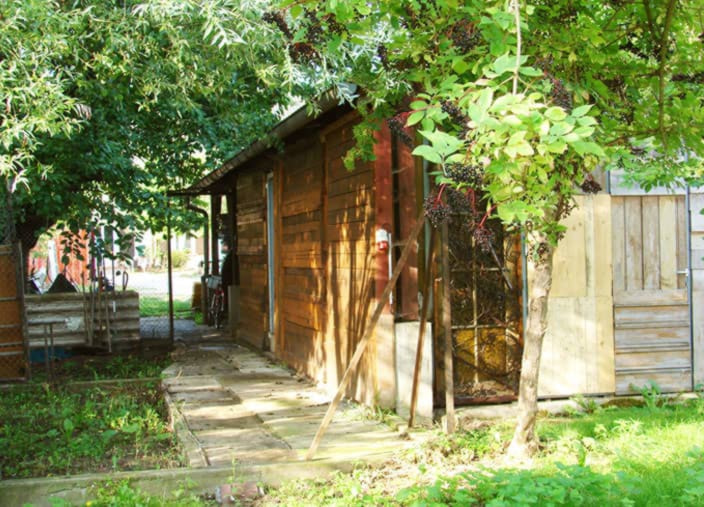 Le jardin de la communauté Montagne Verte